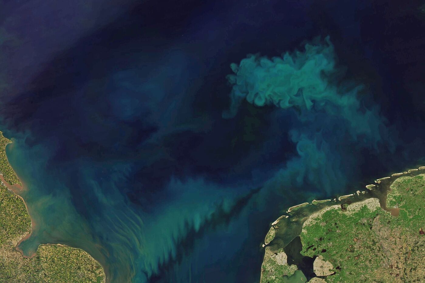 oceans