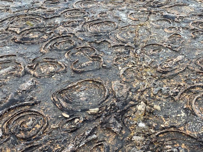 stromatolite rocks