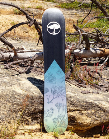 arbor veda camber snowboard 