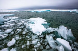 Arctic Ocean Sea Ice