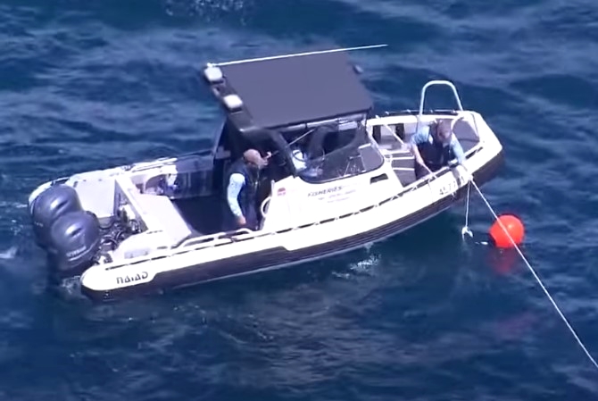 sydney shark attack