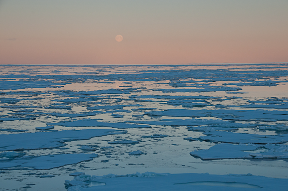 Sea ice in Baffin Bay