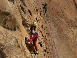 best climbing harnesses