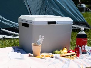 best electric coolers