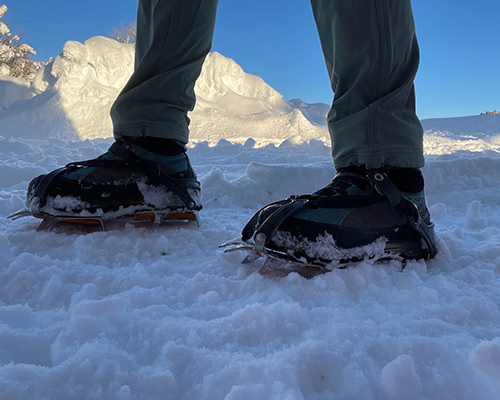 black diamond contact crampons