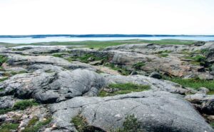 view of ancient rocks