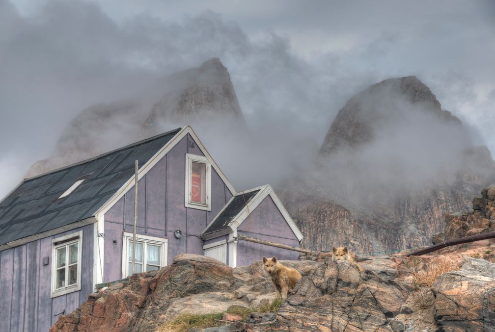 Two dogs in front of a house in Qaanaaq.