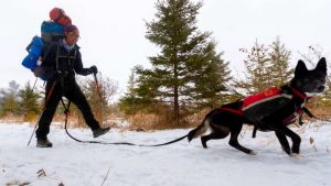 Emily Ford and Diggins the Sled Dog. Photo: Emily Ford