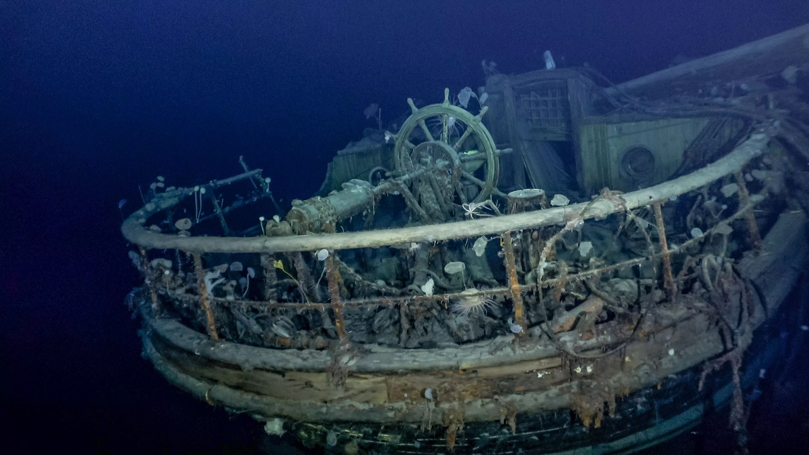 Shackleton Endurance Ship discovered
