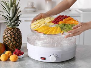 best food dehydrator