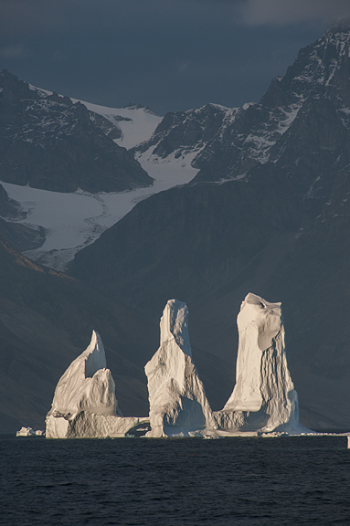 iceberg triplets.