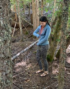 icebreaker fastray tights