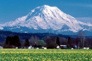 Mount Rainier.