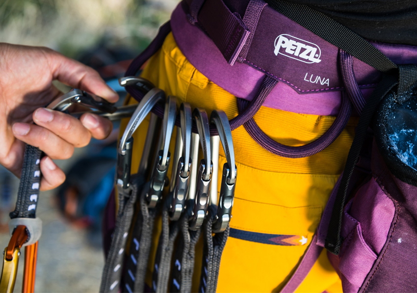 petzl luna harness