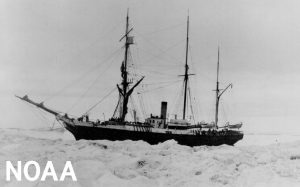 PHOTO-USRC Bear in the Arctic - 101421- USCG