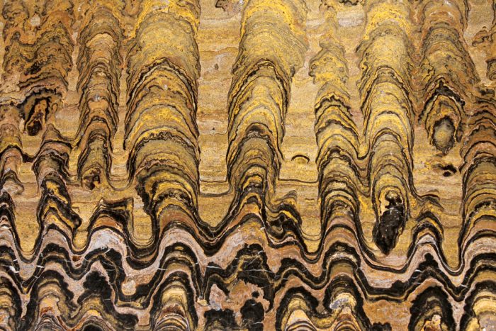 stromatolite pattern