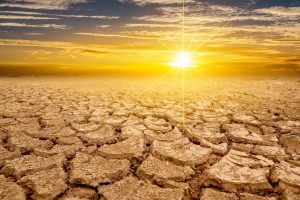 a cracked landscape beneath a bright sun