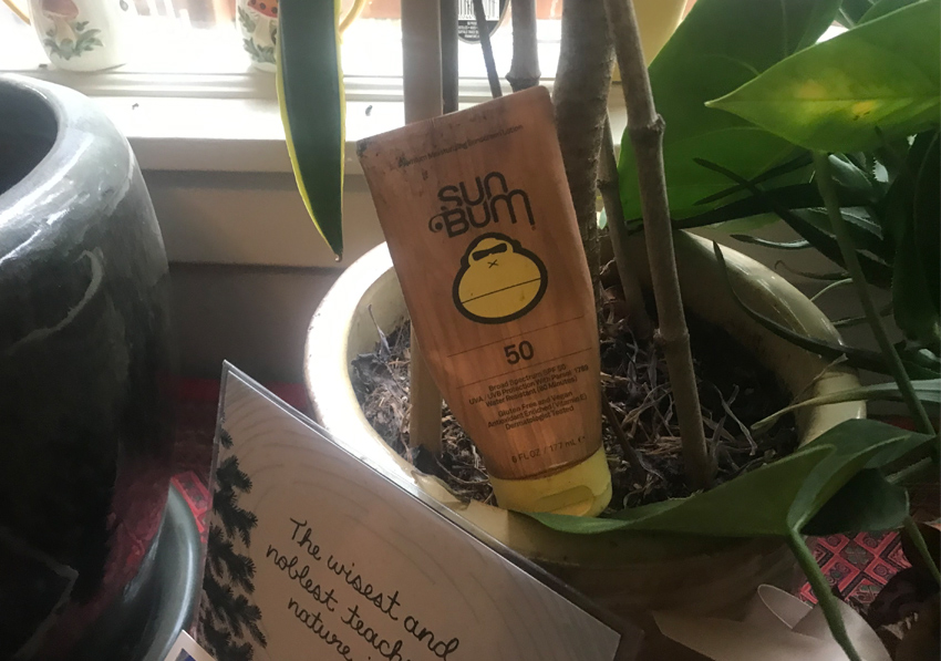 SunBum SPF50 Original Sunscreen