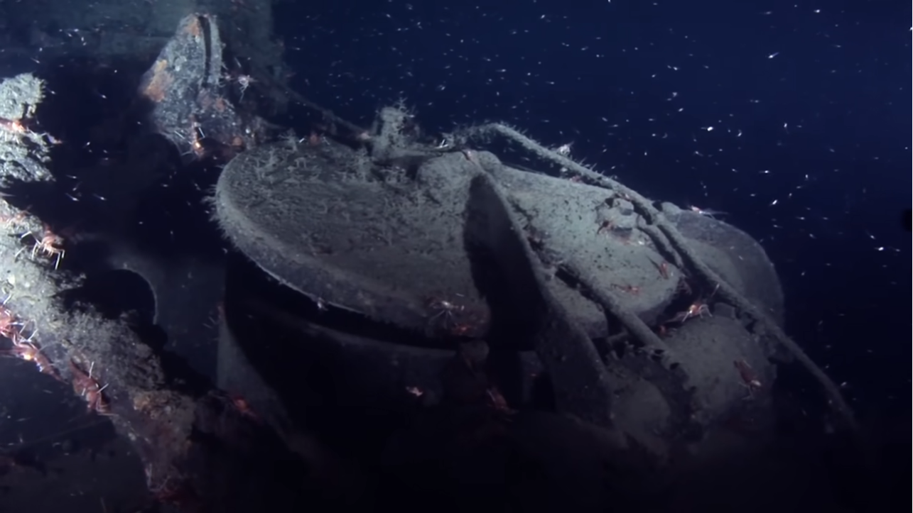 A submarine hatch covered in marine life