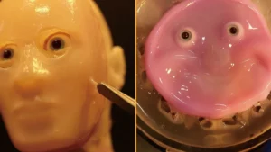 jelly-like robot skin